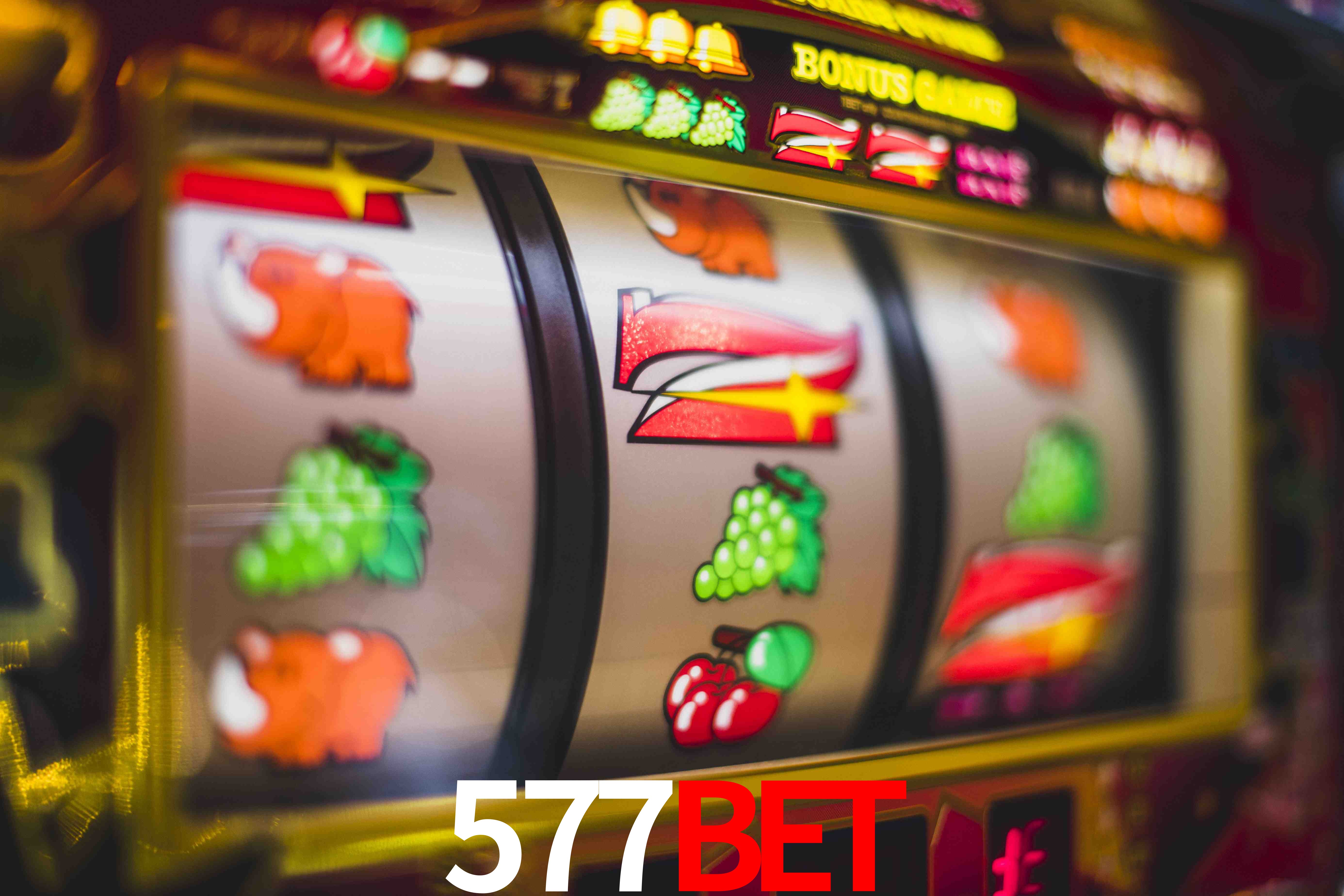 Football Betting 577bet